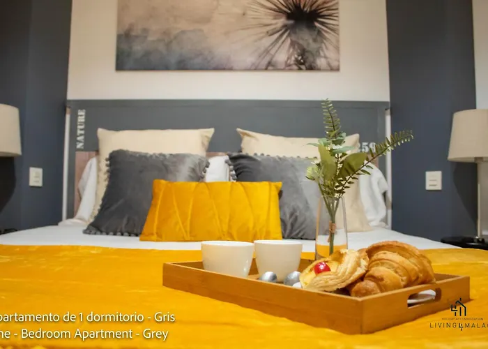 Hotel Living4malaga Superior